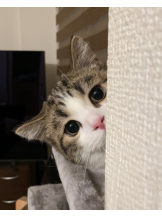 月紅 - えりなの女の子ブログ画像