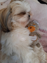 月紅 - えりなの女の子ブログ画像