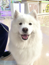 月紅 - えりなの女の子ブログ画像