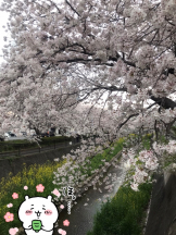 月紅 - えりなの女の子ブログ画像