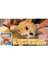 月紅 - えりなの女の子ブログ画像