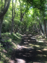 月紅 - えりなの女の子ブログ画像