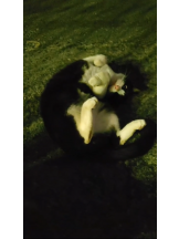 月紅 - えりなの女の子ブログ画像