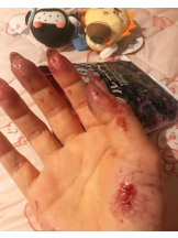 月紅 - えりなの女の子ブログ画像