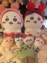 月紅 - えりなの女の子ブログ画像