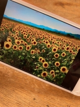 月紅 - なみの女の子ブログ画像