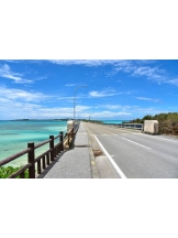 月紅 - なみの女の子ブログ画像