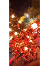 月紅 - なみの女の子ブログ画像