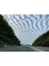 月紅 - なみの女の子ブログ画像