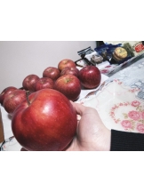 月紅 - なみの女の子ブログ画像