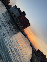 月紅 - なみの女の子ブログ画像