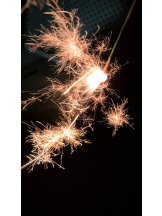 月紅 - なみの女の子ブログ画像