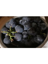 月紅 - なみの女の子ブログ画像