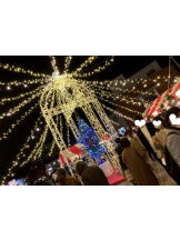 月紅 - なみの女の子ブログ画像