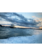 月紅 - なみの女の子ブログ画像