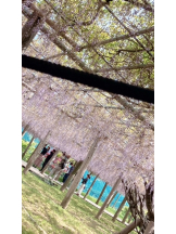 月紅 - なみの女の子ブログ画像