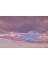 月紅 - なみの女の子ブログ画像