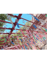 月紅 - なみの女の子ブログ画像