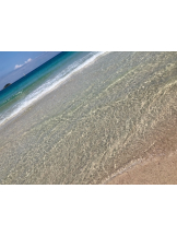 月紅 - なみの女の子ブログ画像