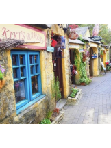 月紅 - なみの女の子ブログ画像