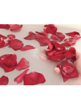 月紅 - なみの女の子ブログ画像