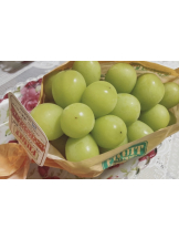 月紅 - なみの女の子ブログ画像