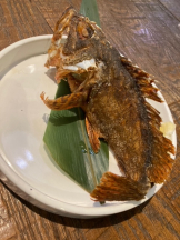 月紅 - なみの女の子ブログ画像