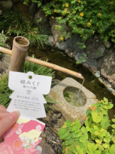 月紅 - なみの女の子ブログ画像