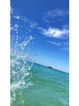 月紅 - なみの女の子ブログ画像