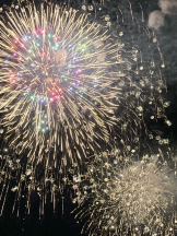 月紅 - なみの女の子ブログ画像