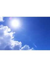 月紅 - 店長ブログの女の子ブログ画像