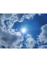 月紅 - 店長ブログの女の子ブログ画像