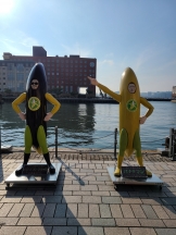 月紅 - 店長ブログの女の子ブログ画像