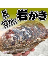 月紅 - 店長ブログの女の子ブログ画像