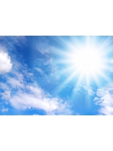 月紅 - 店長ブログの女の子ブログ画像