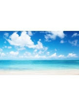 月紅 - 店長ブログの女の子ブログ画像