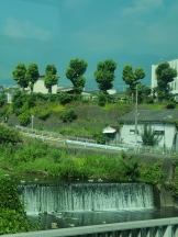 月紅 - 店長ブログの女の子ブログ画像