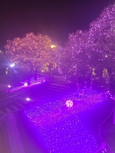 月紅 - 店長ブログの女の子ブログ画像