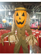 月紅 - 店長ブログの女の子ブログ画像