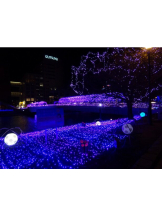 月紅 - 店長ブログの女の子ブログ画像