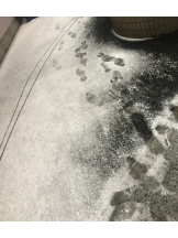 月紅 - ひなたの女の子ブログ画像