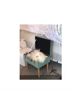 月紅 - ひなたの女の子ブログ画像