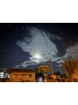 月紅 - ひなたの女の子ブログ画像