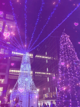 月紅 - ひなたの女の子ブログ画像