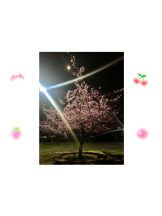 月紅 - ひなたの女の子ブログ画像