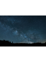 月紅 - ひなたの女の子ブログ画像