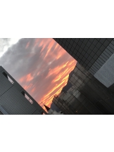 月紅 - ひなたの女の子ブログ画像