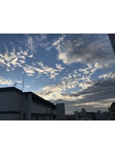 月紅 - ひなたの女の子ブログ画像