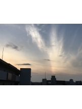 月紅 - ひなたの女の子ブログ画像