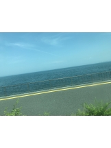 月紅 - ひなたの女の子ブログ画像